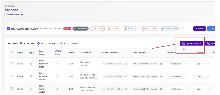Bulk import manual accessibility findings via XLS/CSV for faster consulting workflows